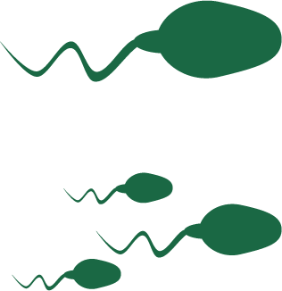 Graphic of sperm