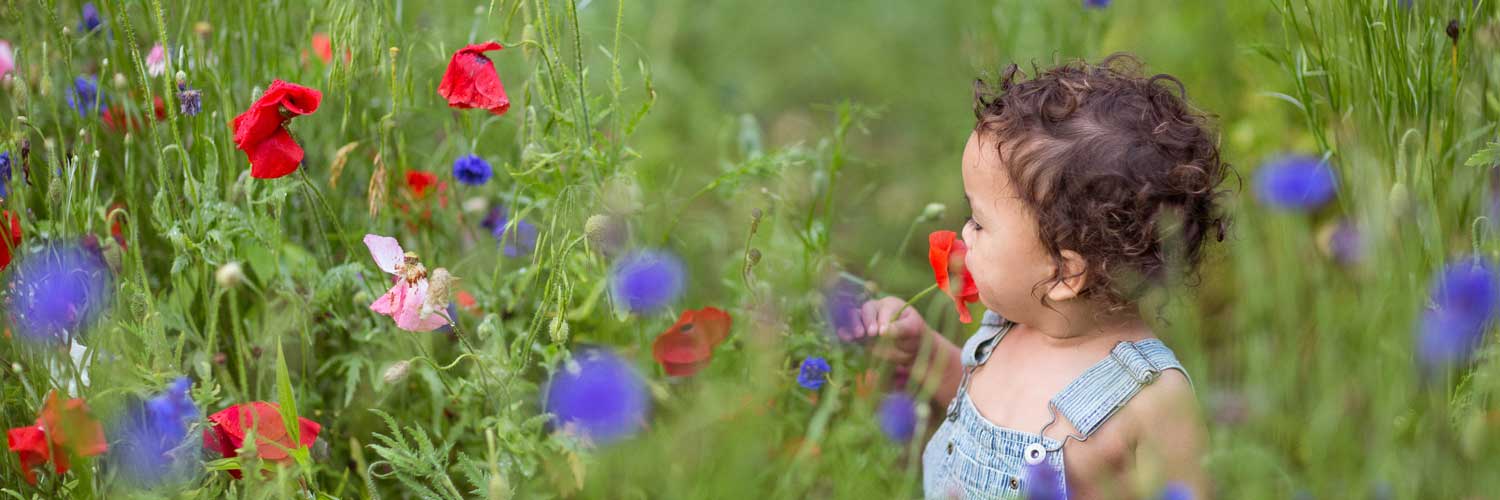 Toddler in field of flowers | Envita Fertility Center